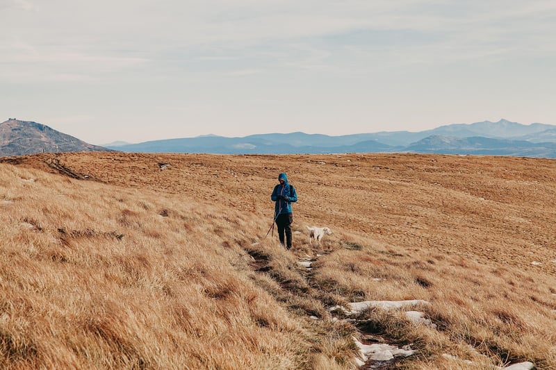 Meditative Running